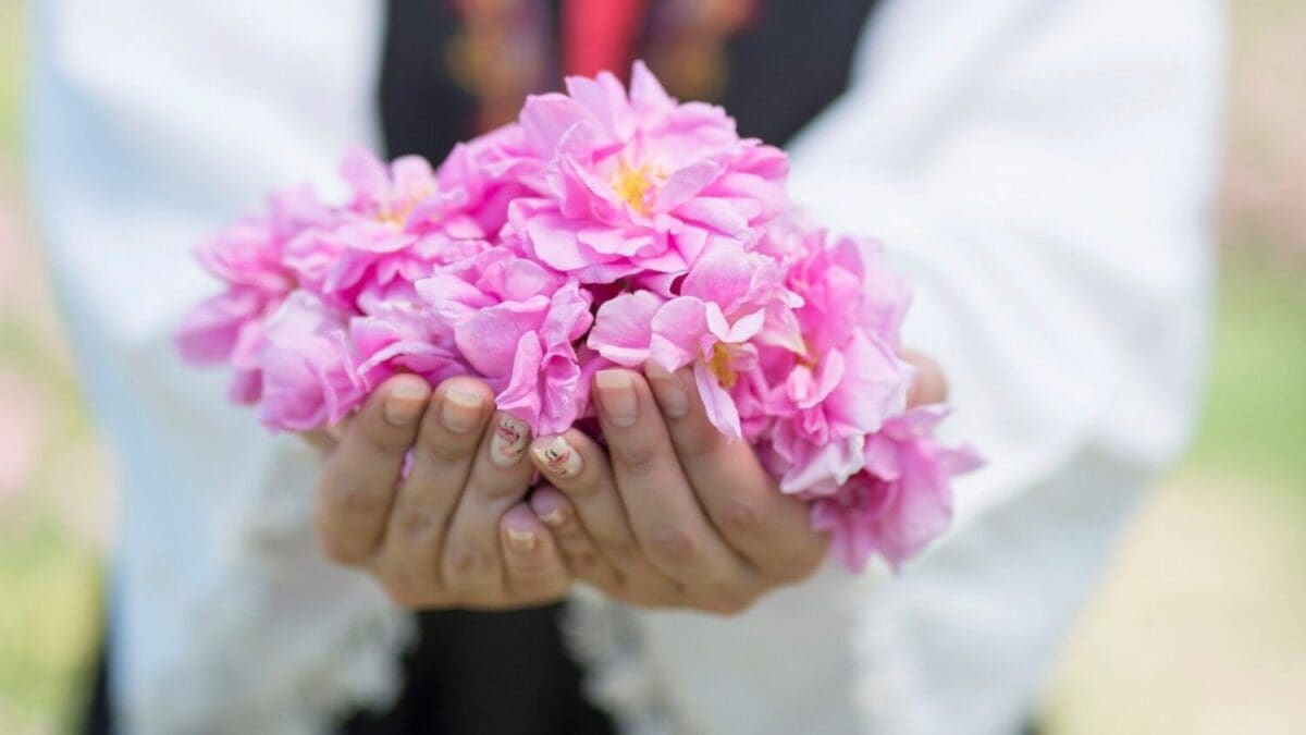 Scent of summer in the land of roses – Bulgaria