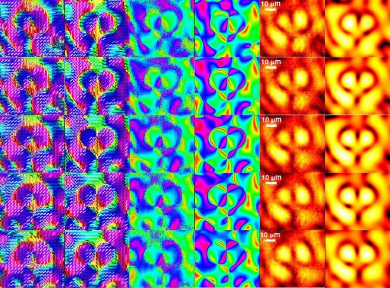 Polarization Properties
