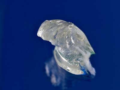 Bacteria Produced Synthetic Rubber