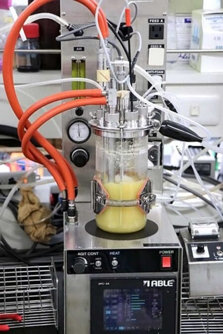 Engineered Microbes Synthetic Rubber
