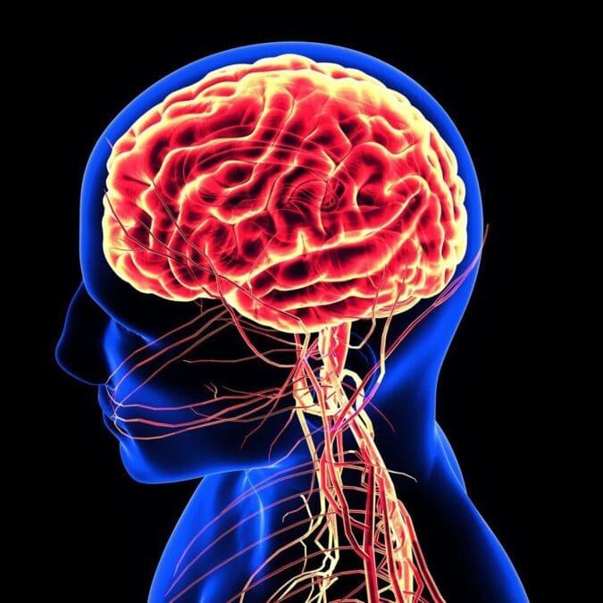 What are Neuro-Rights and why protect them