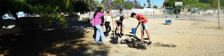 Planting the seeds of sustainability through education
